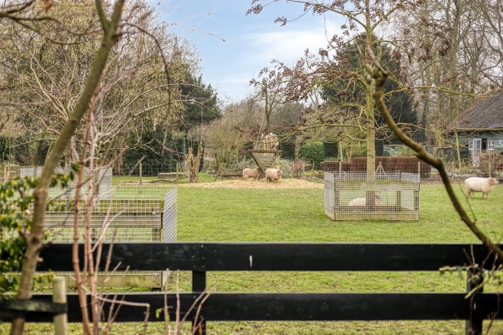 Photo 50 of Peperstraat 2