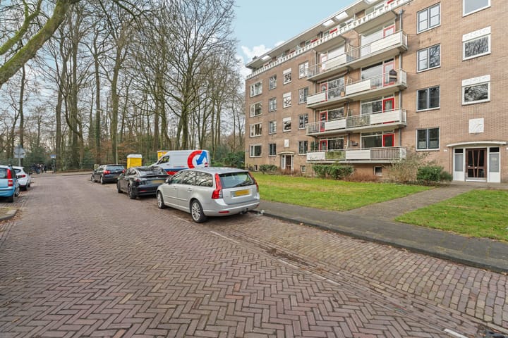 Foto 6 van Lippe Biesterfeldstraat 9-3