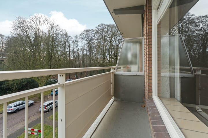 Foto 13 van Lippe Biesterfeldstraat 9-3