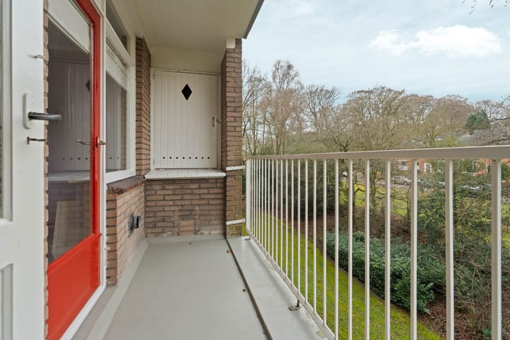 Foto 21 van Lippe Biesterfeldstraat 9-3