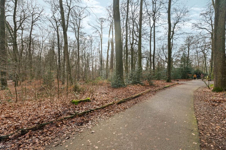 Foto 33 van Lippe Biesterfeldstraat 9-3