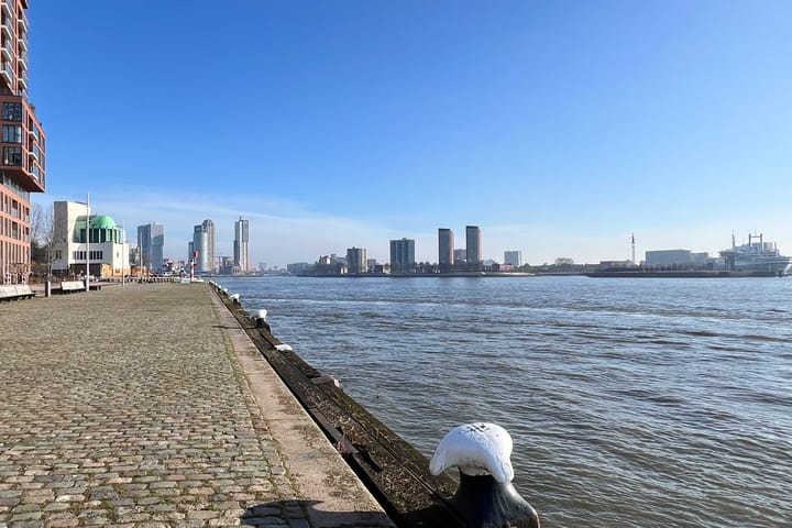 Photo 44 of Sint-Jobskade 386