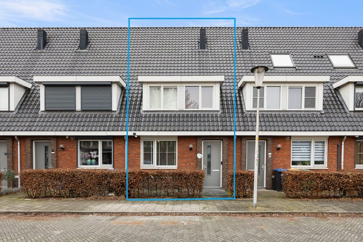 Glauconiet 9 main image