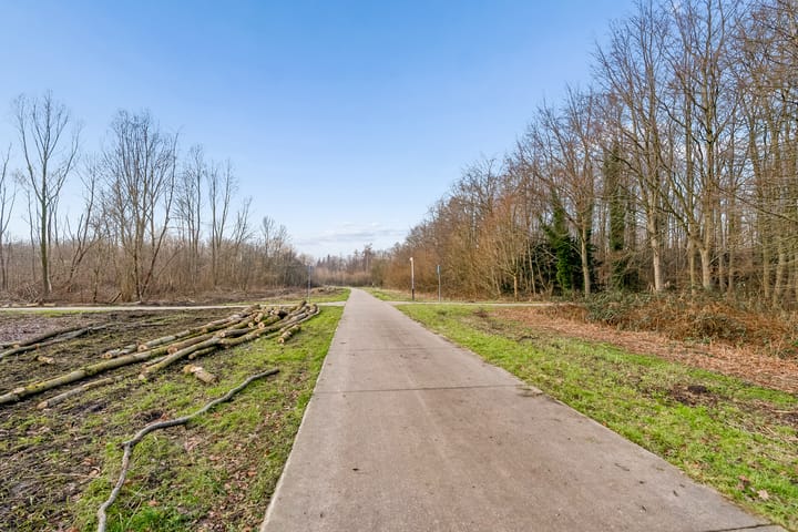 Foto 61 van Ommelandvaart 58