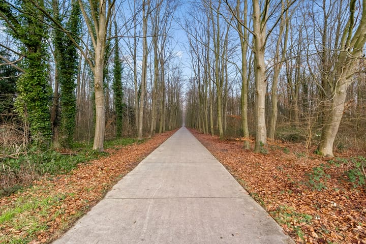 Foto 62 van Ommelandvaart 58