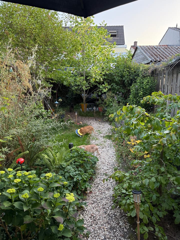 Foto 27 van Dahliastraat 12