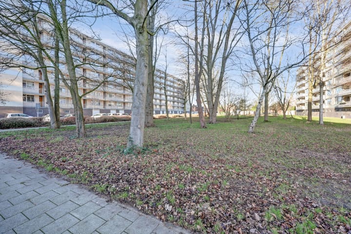 Photo 29 of Everaertstraat 315