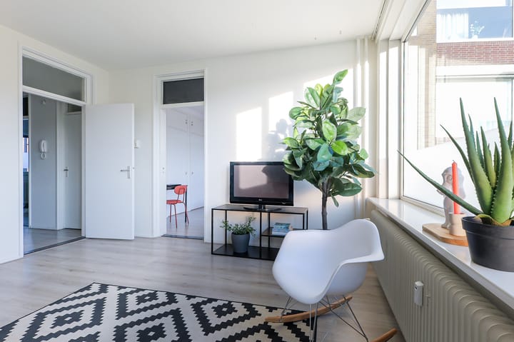 Foto 9 van Hoornsediep 140