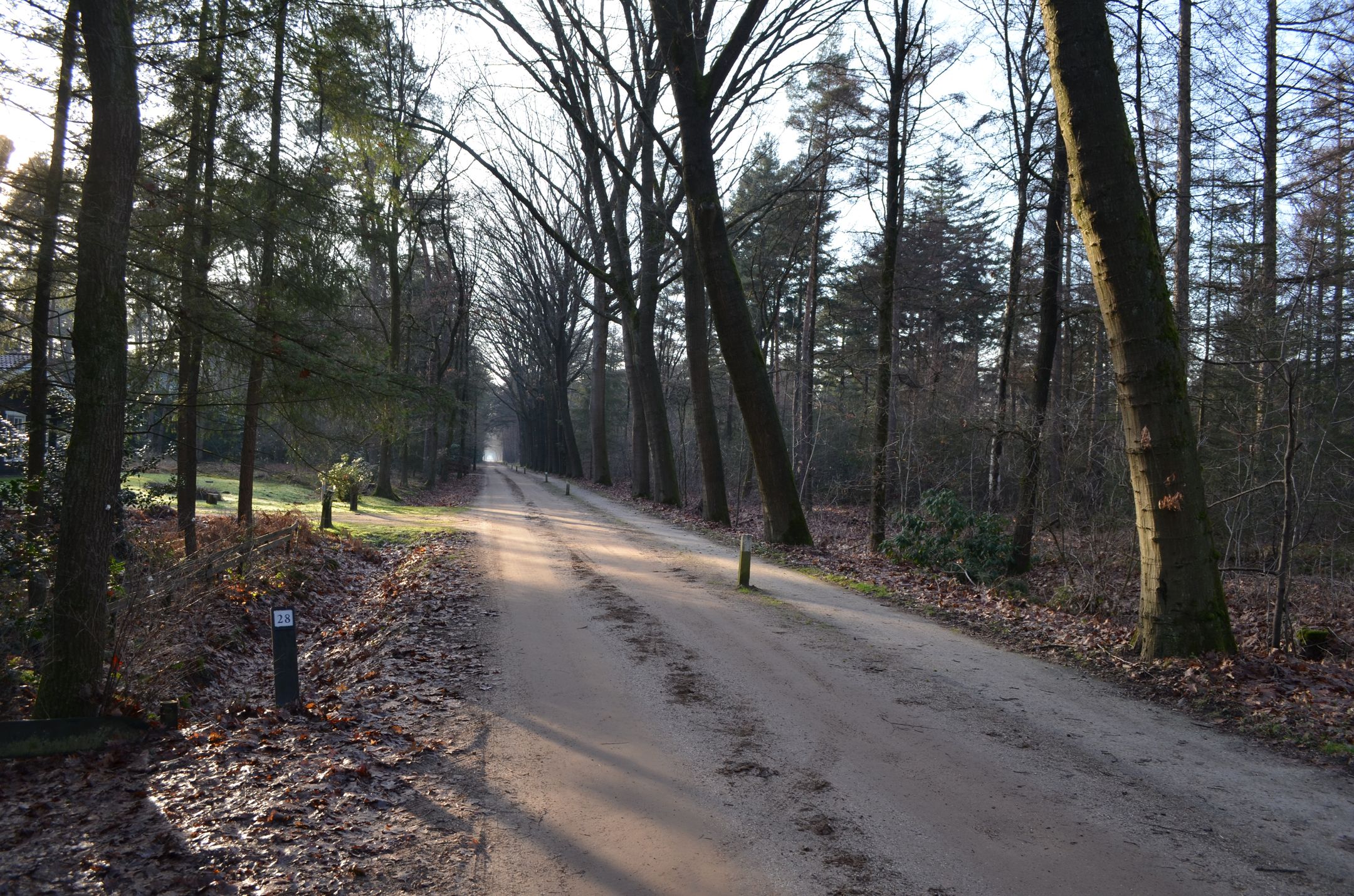 Photo 45 of Roessinkweg 28