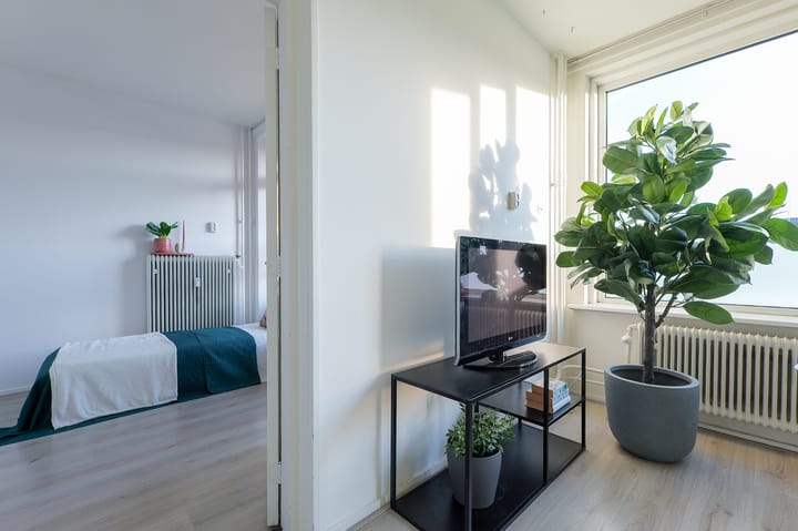 Foto 22 van Hoornsediep 140