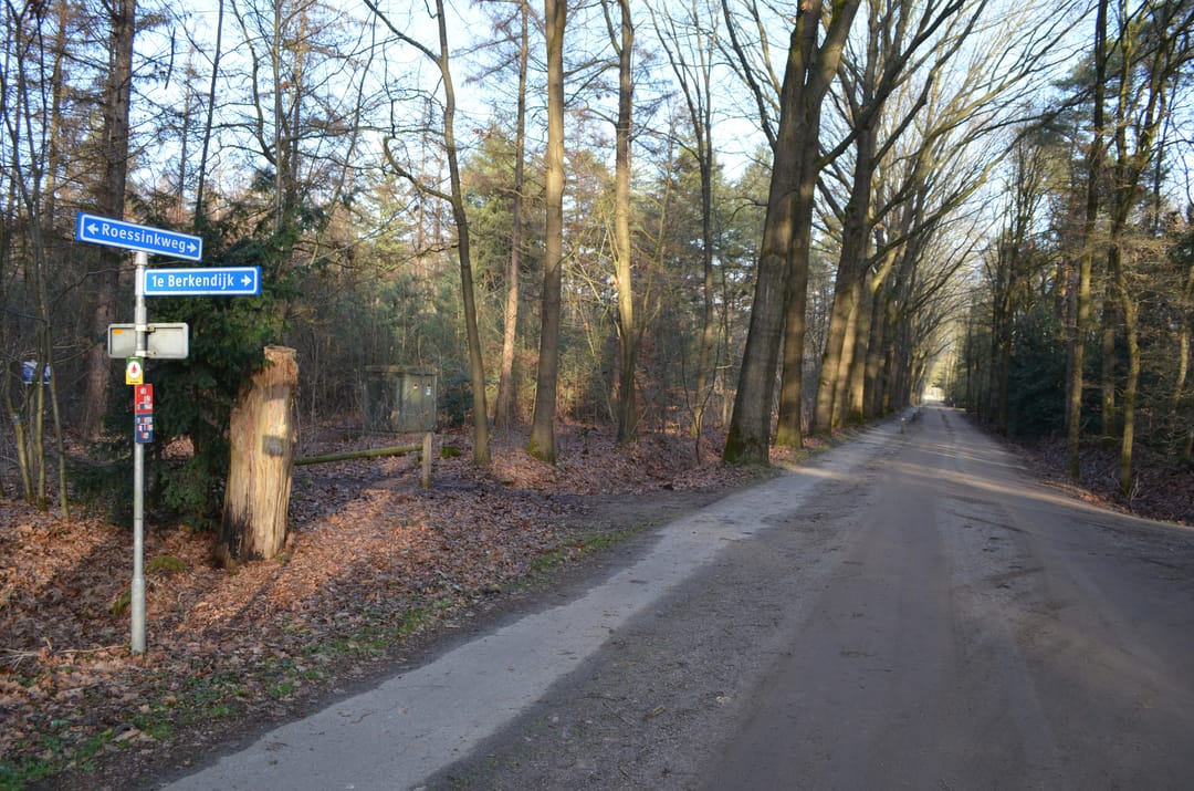 Photo 46 of Roessinkweg 28