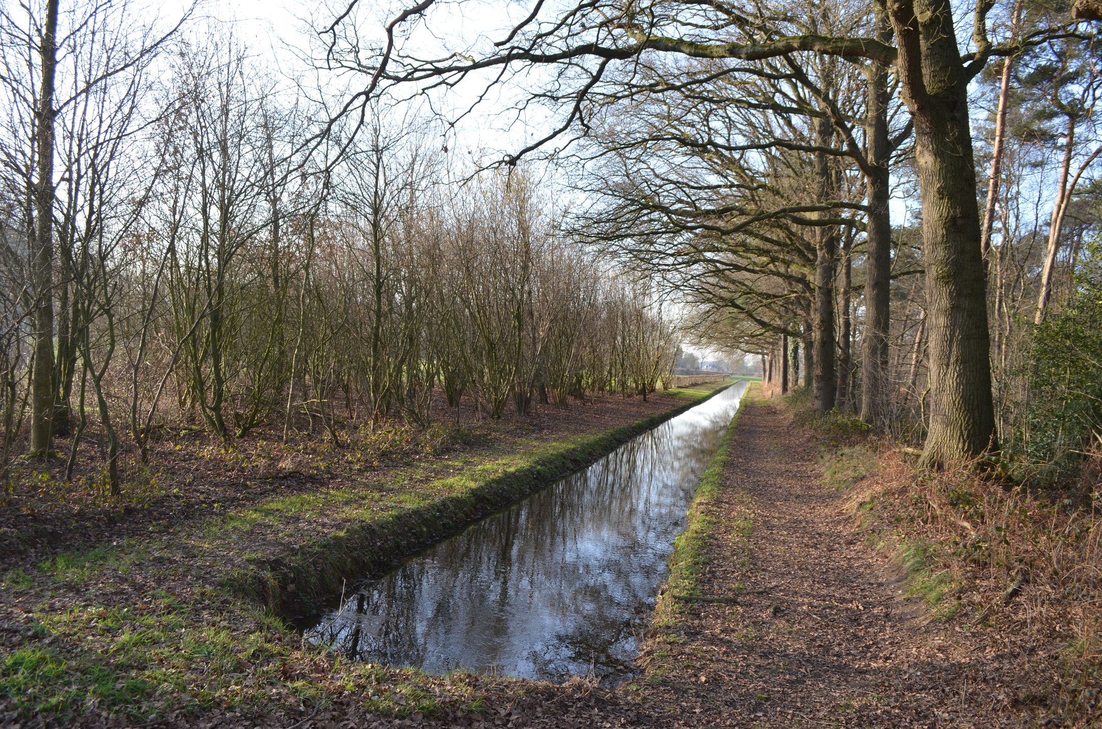 Photo 48 of Roessinkweg 28