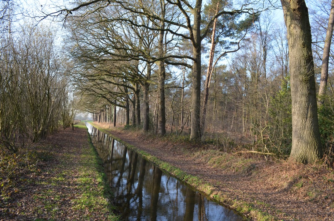 Photo 47 of Roessinkweg 28