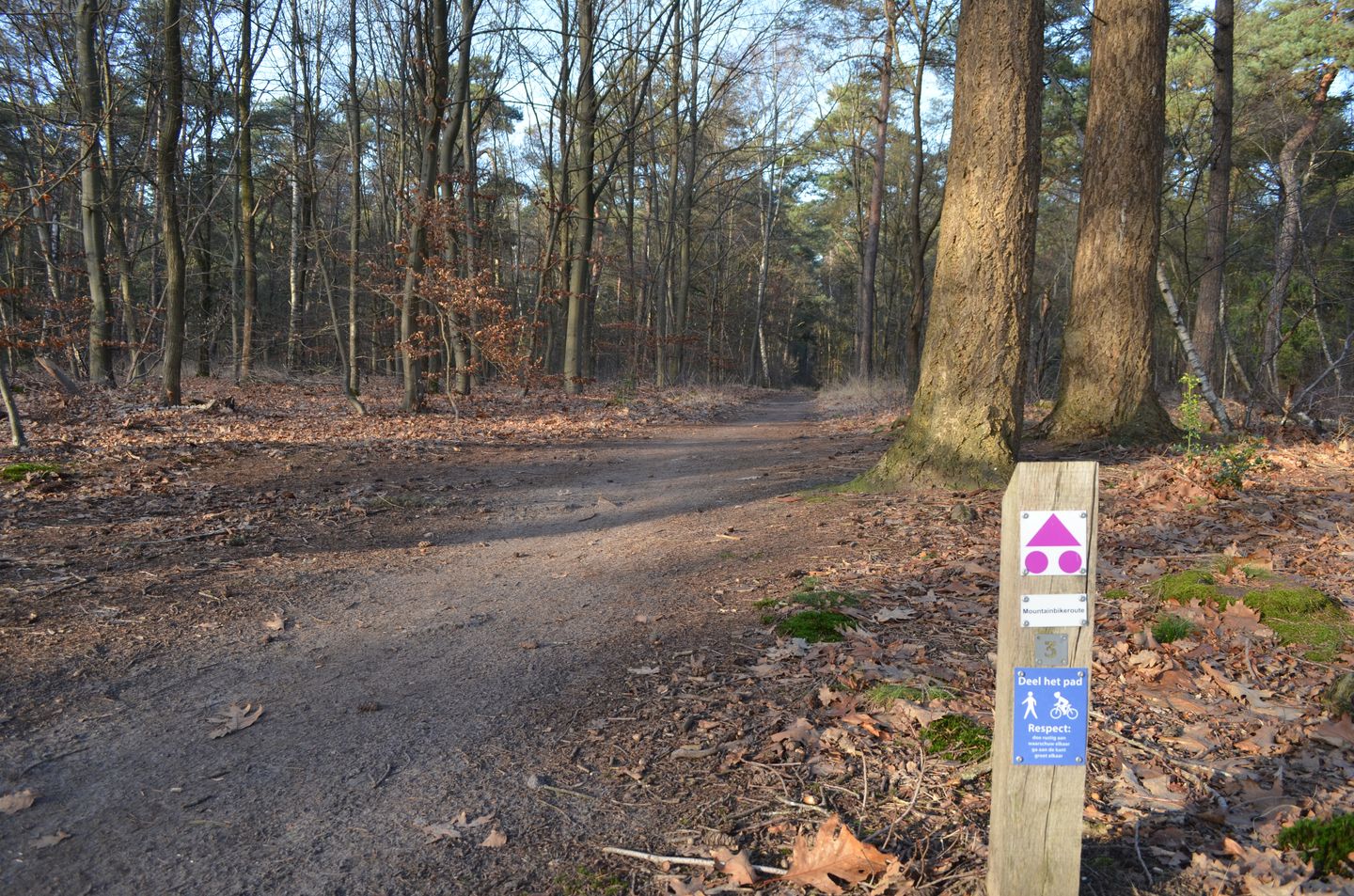 Photo 50 of Roessinkweg 28