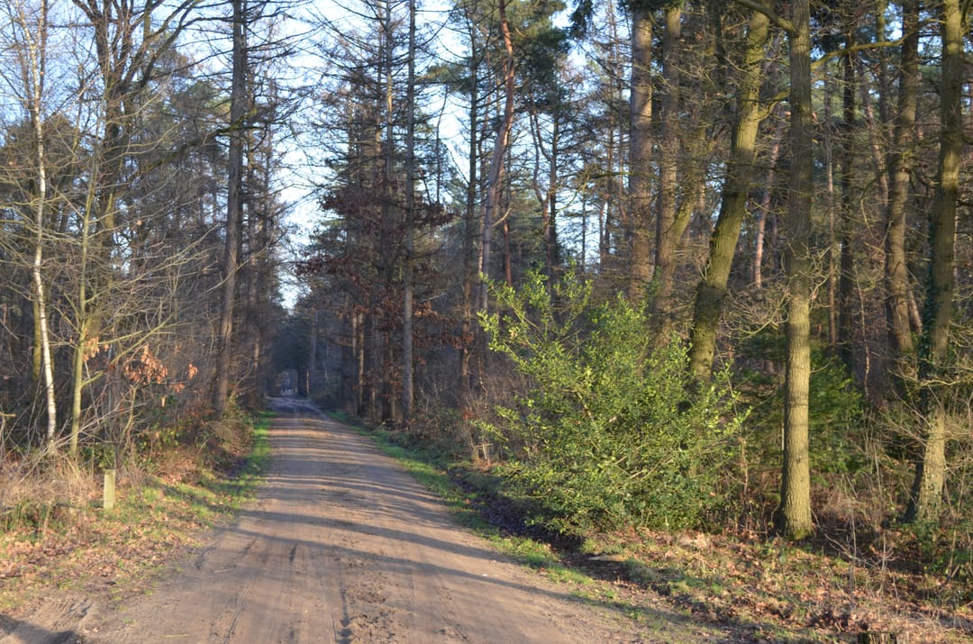 Photo 52 of Roessinkweg 28