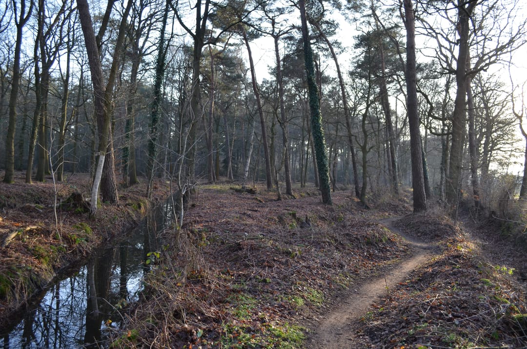 Photo 53 of Roessinkweg 28
