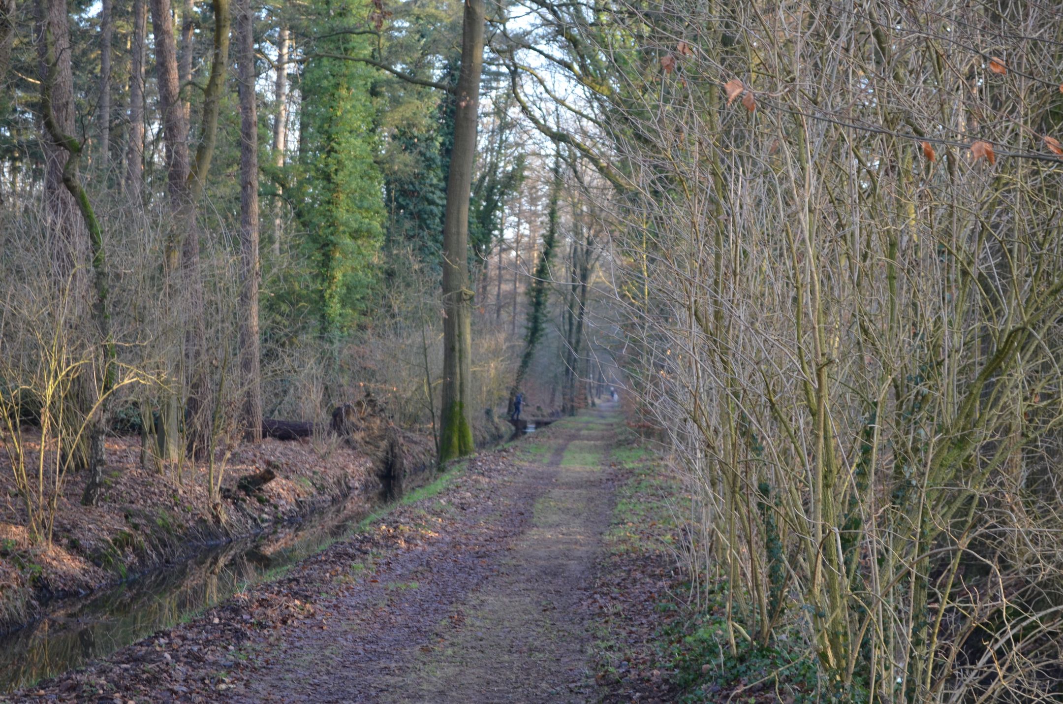 Photo 54 of Roessinkweg 28
