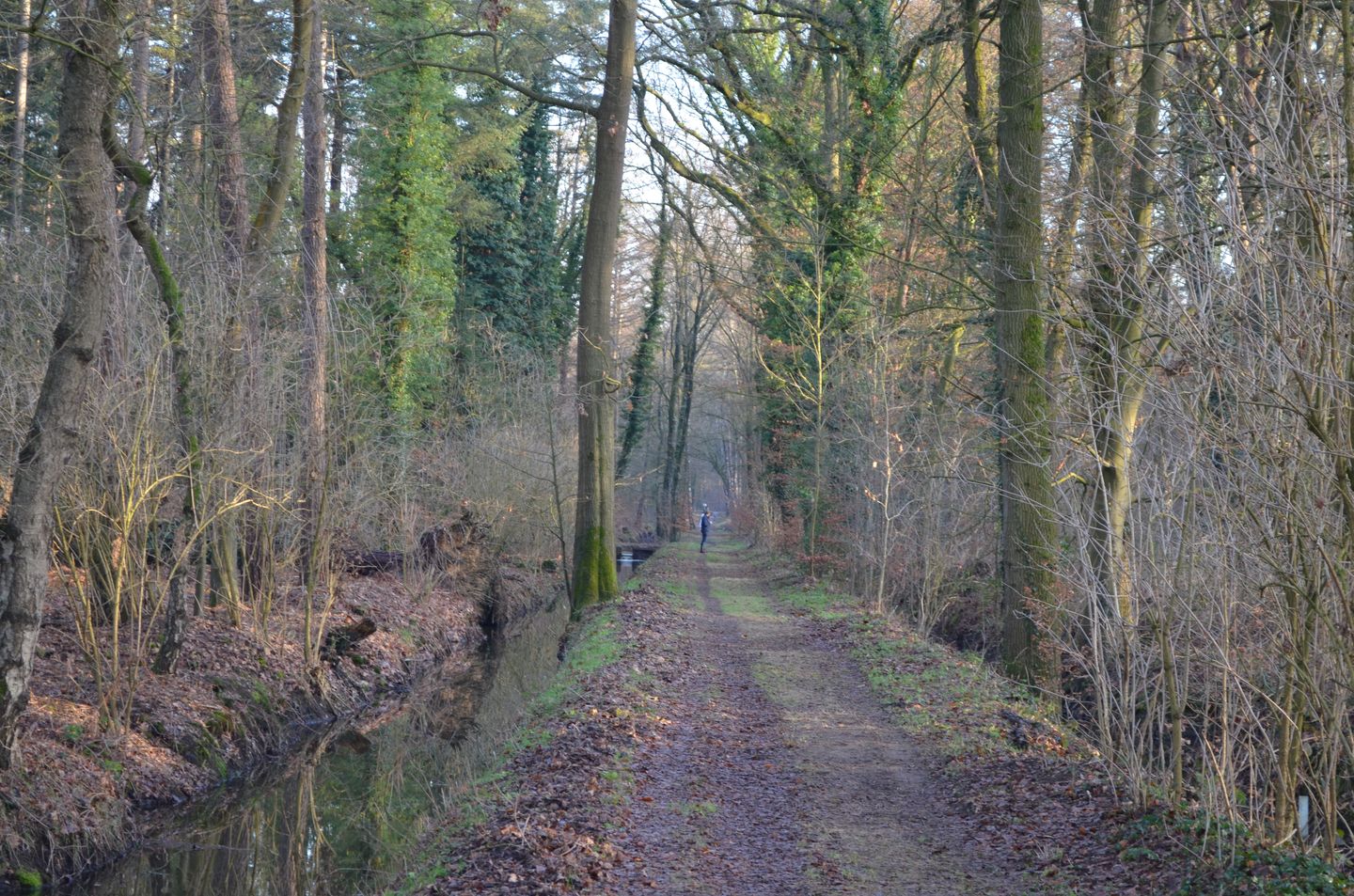 Photo 55 of Roessinkweg 28