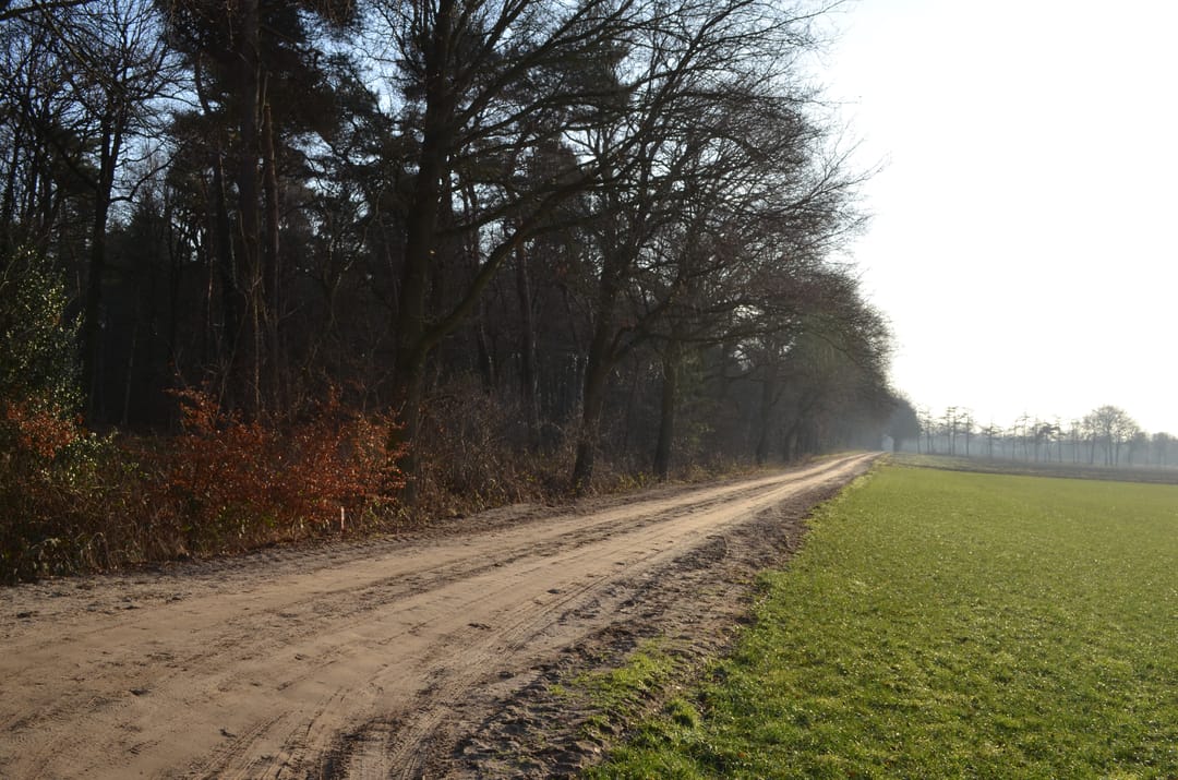 Photo 56 of Roessinkweg 28