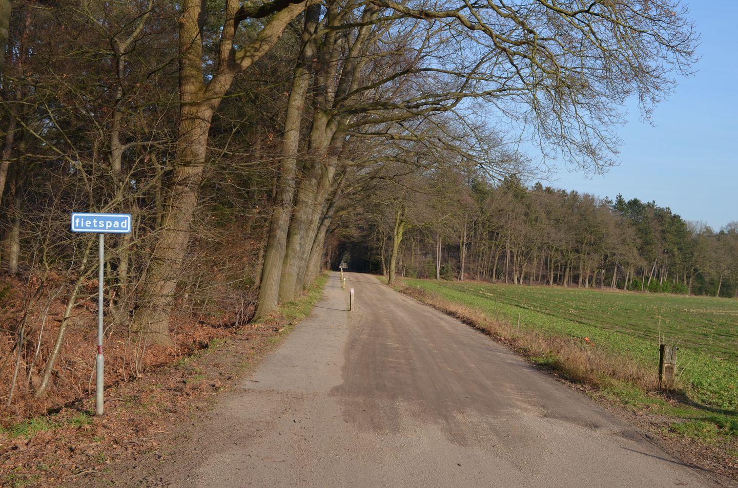 Photo 49 of Roessinkweg 28