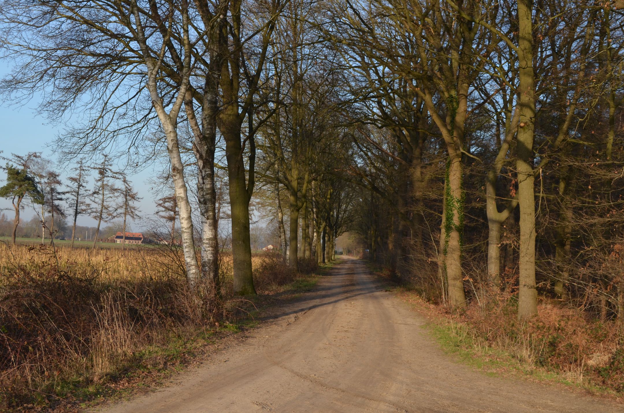 Photo 51 of Roessinkweg 28
