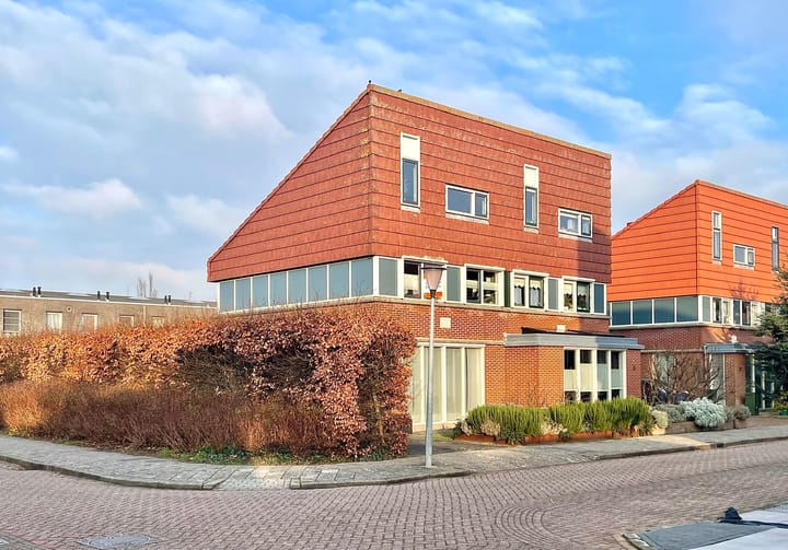 Dorsvlegel 36 main image