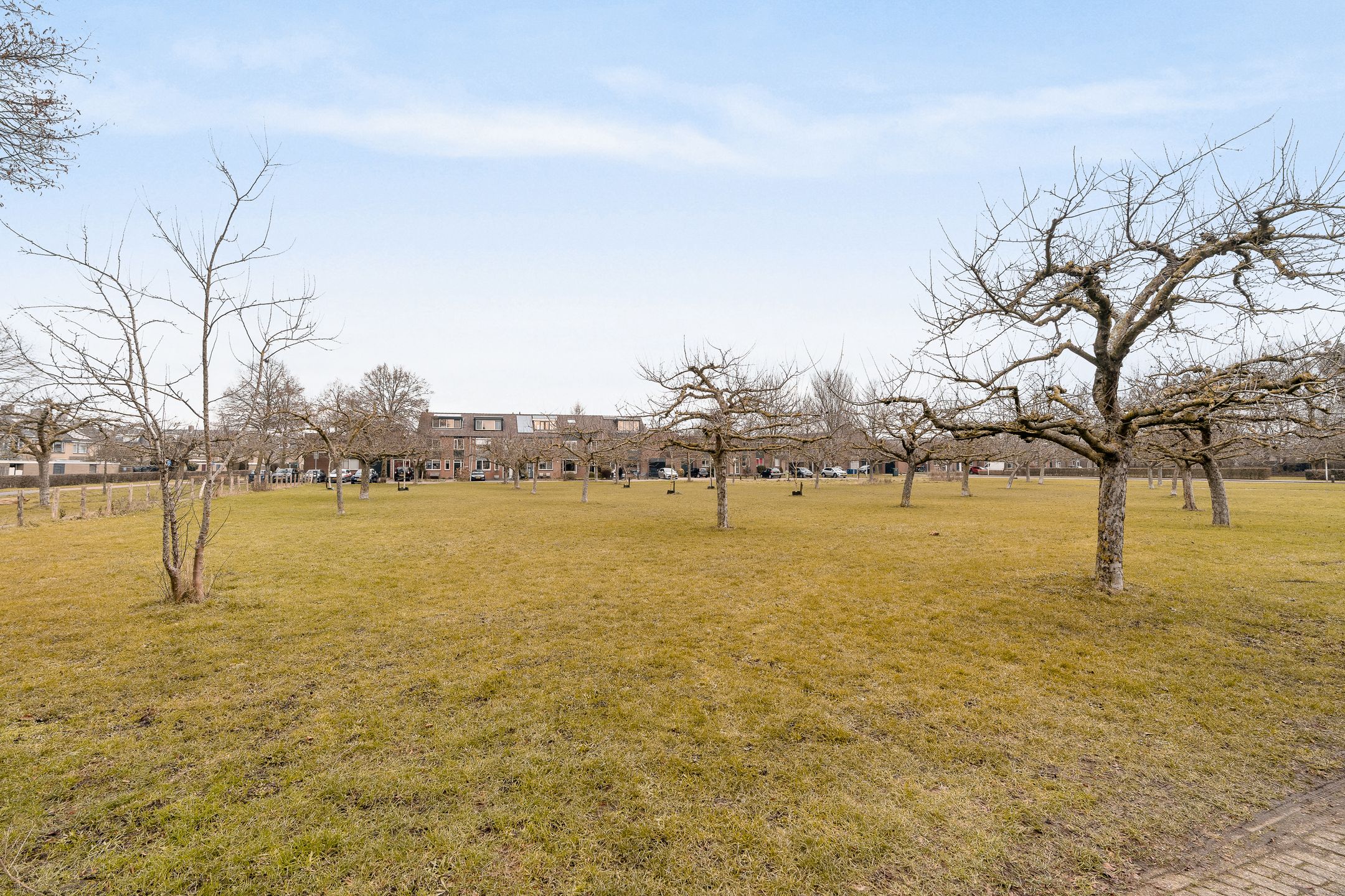 Foto 30 van Dovenetelhof 1