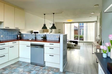 Dorsvlegel 36 tertiary image