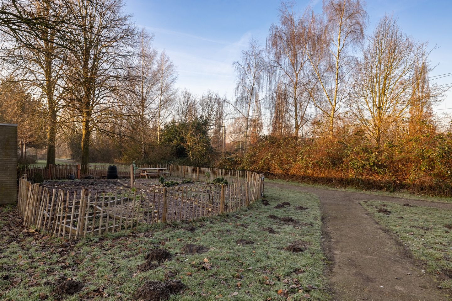 Photo 44 of Beneluxlaan 140