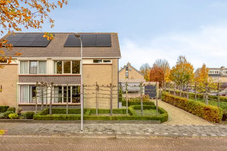 undefined main image