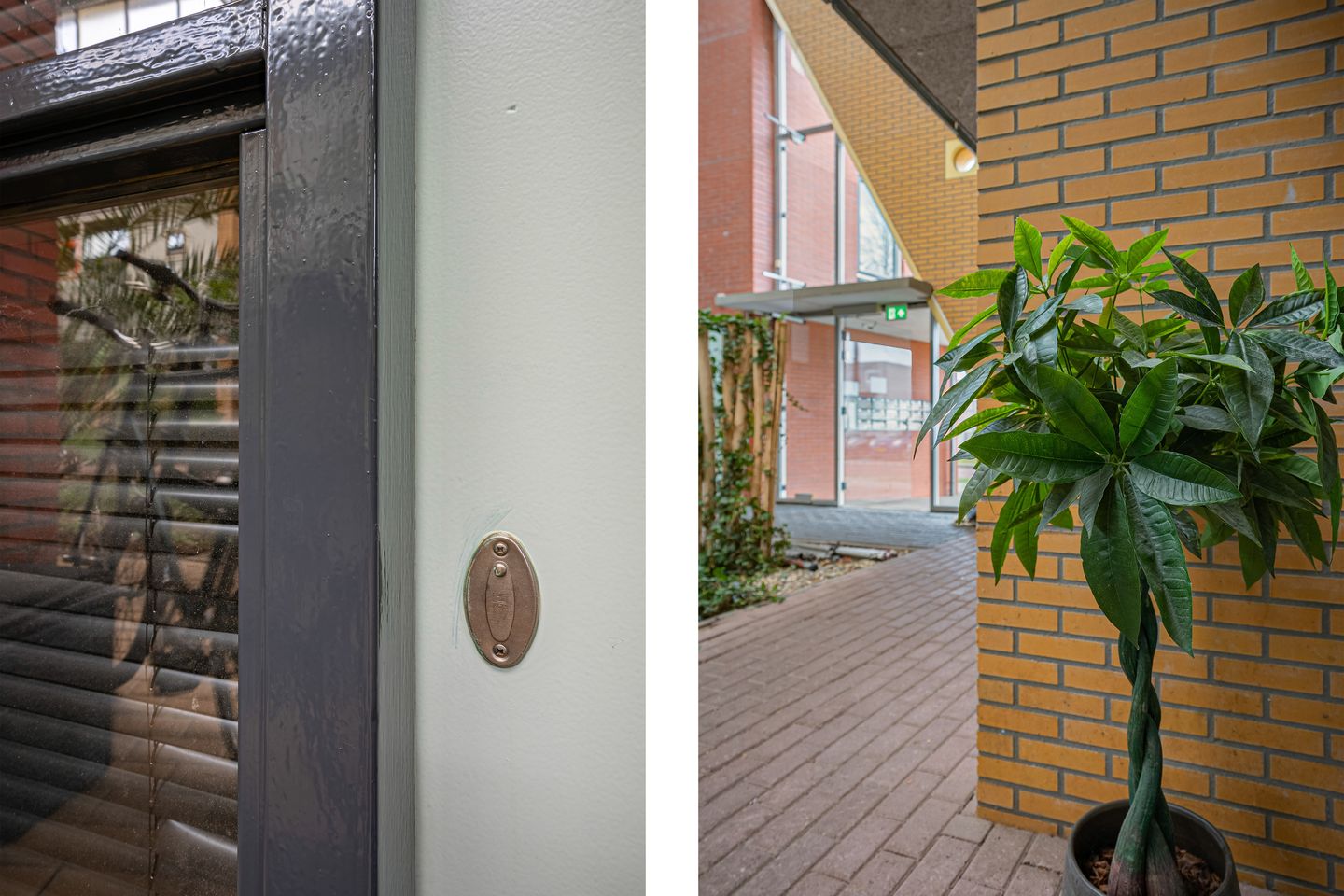 Photo 5 of Linnaeus-serre 3