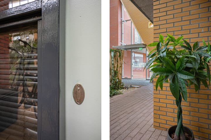 Foto 5 van Linnaeus-serre 3