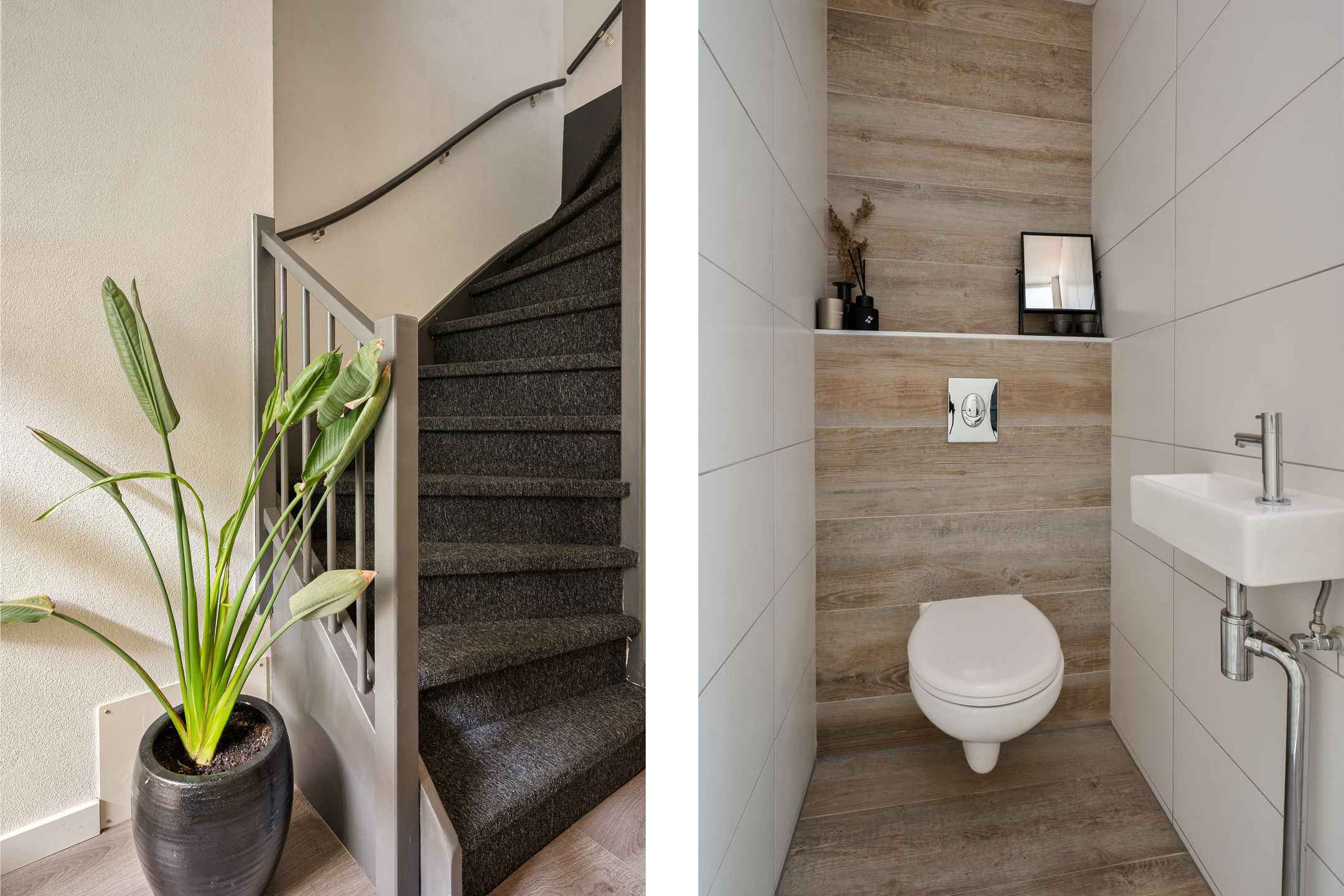 Photo 9 of Linnaeus-serre 3