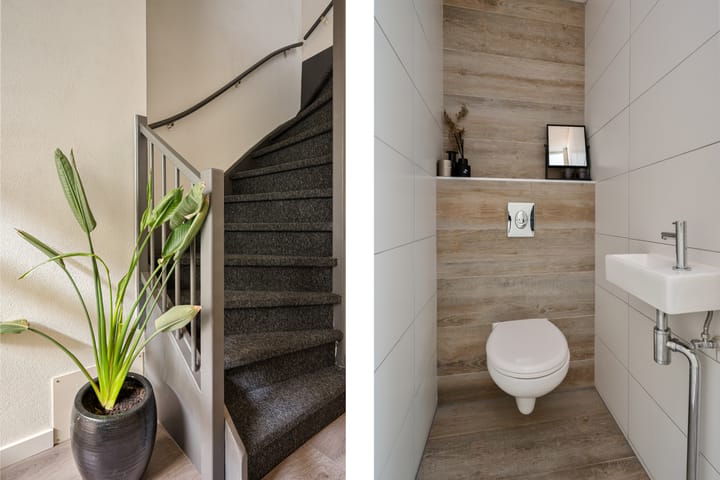 Foto 9 van Linnaeus-serre 3