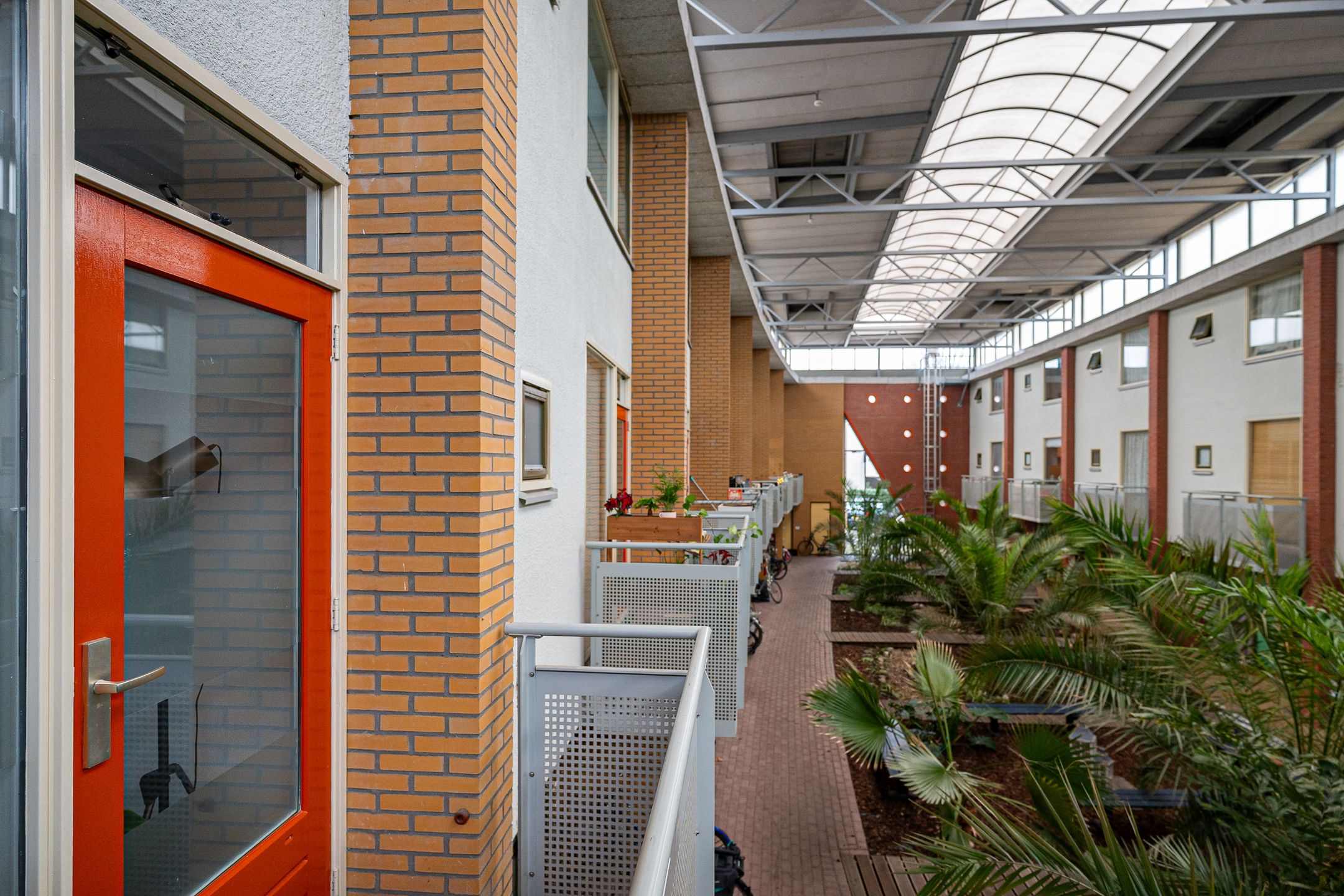 Photo 18 of Linnaeus-serre 3