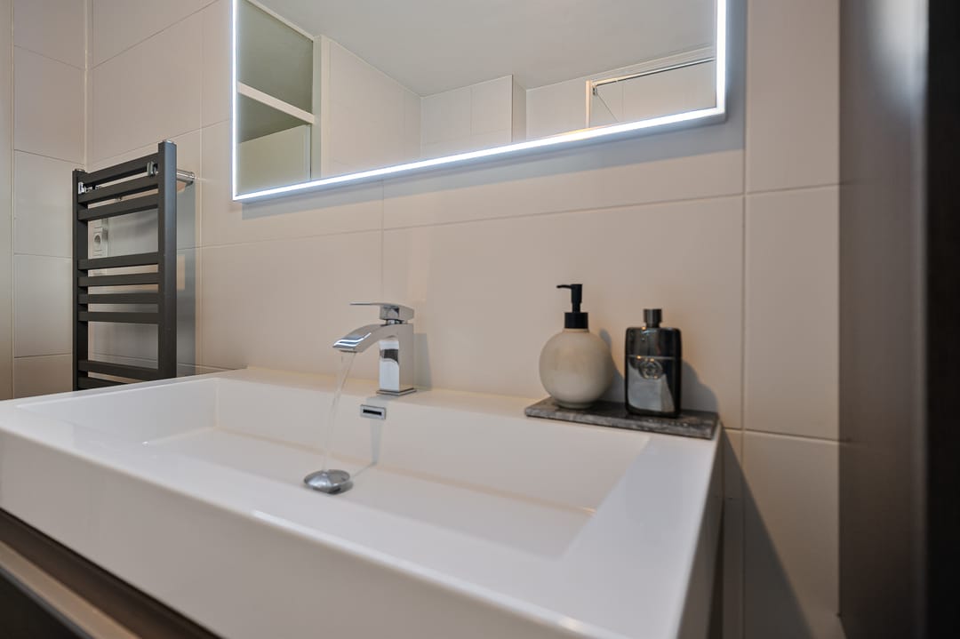 Photo 28 of Linnaeus-serre 3