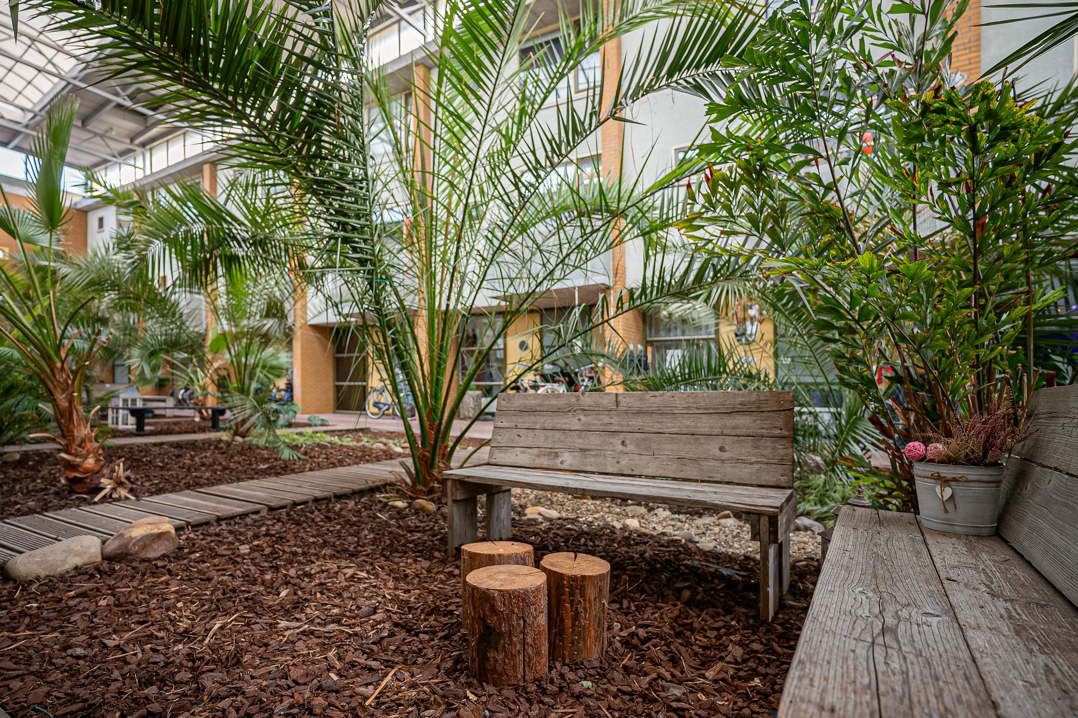 Photo 33 of Linnaeus-serre 3