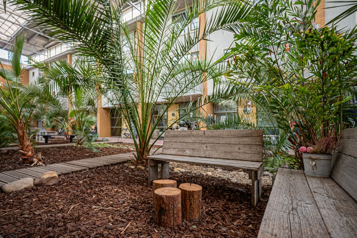 Foto 33 van Linnaeus-serre 3