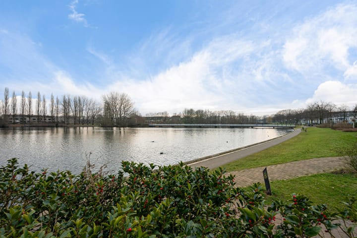 Foto 37 van Linnaeus-serre 3