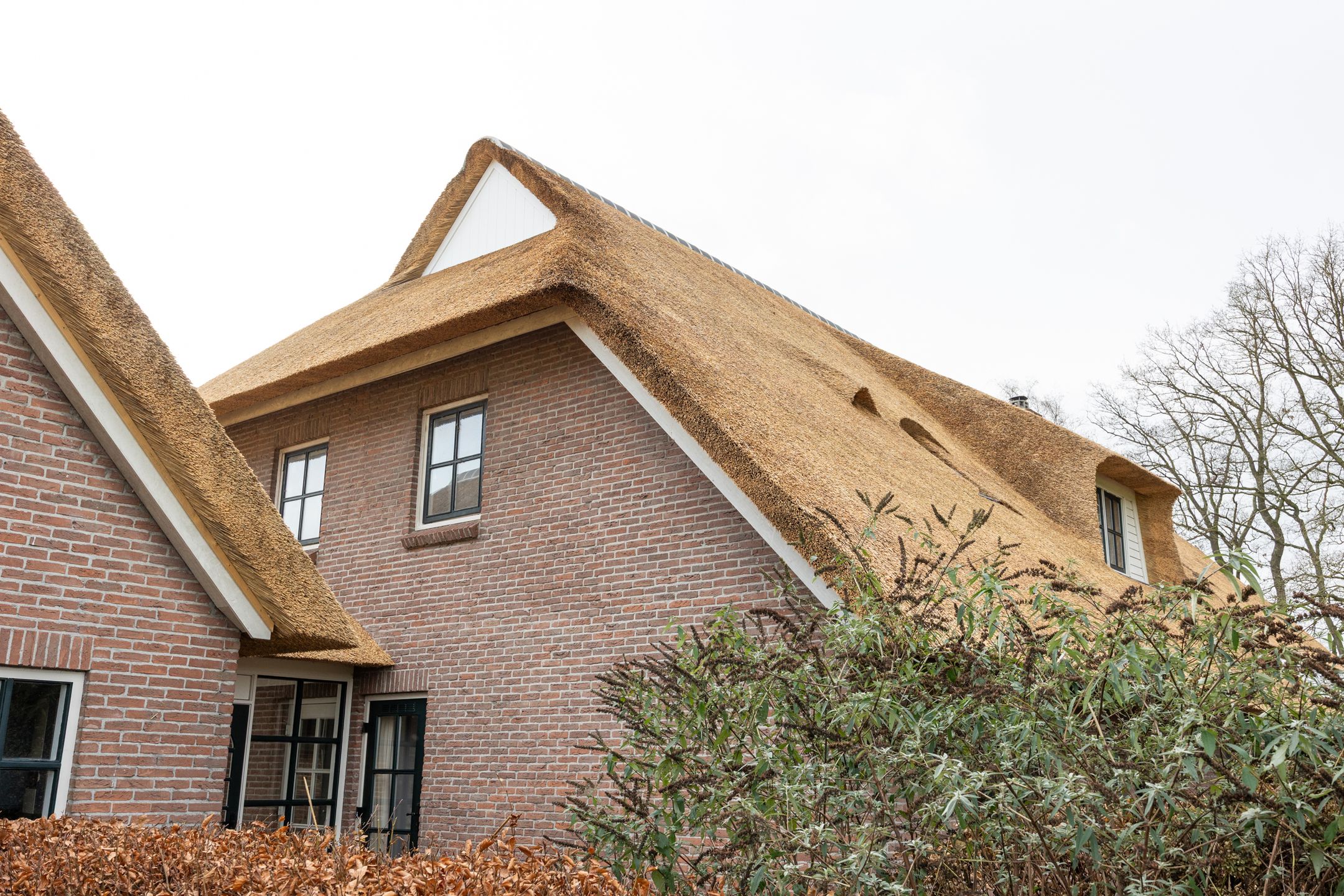 Foto 66 van De Kolonie 1-A