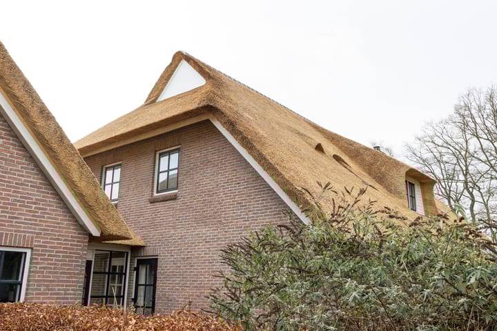 Foto 66 van De Kolonie 1-A