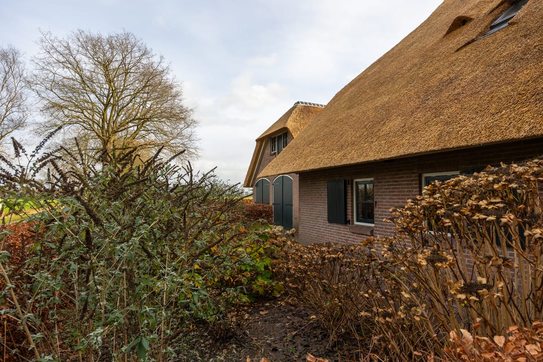 Foto 68 van De Kolonie 1-A