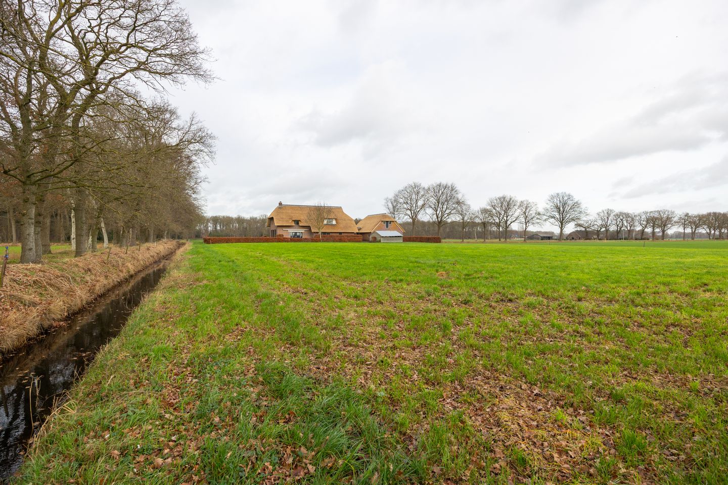 Foto 70 van De Kolonie 1-A