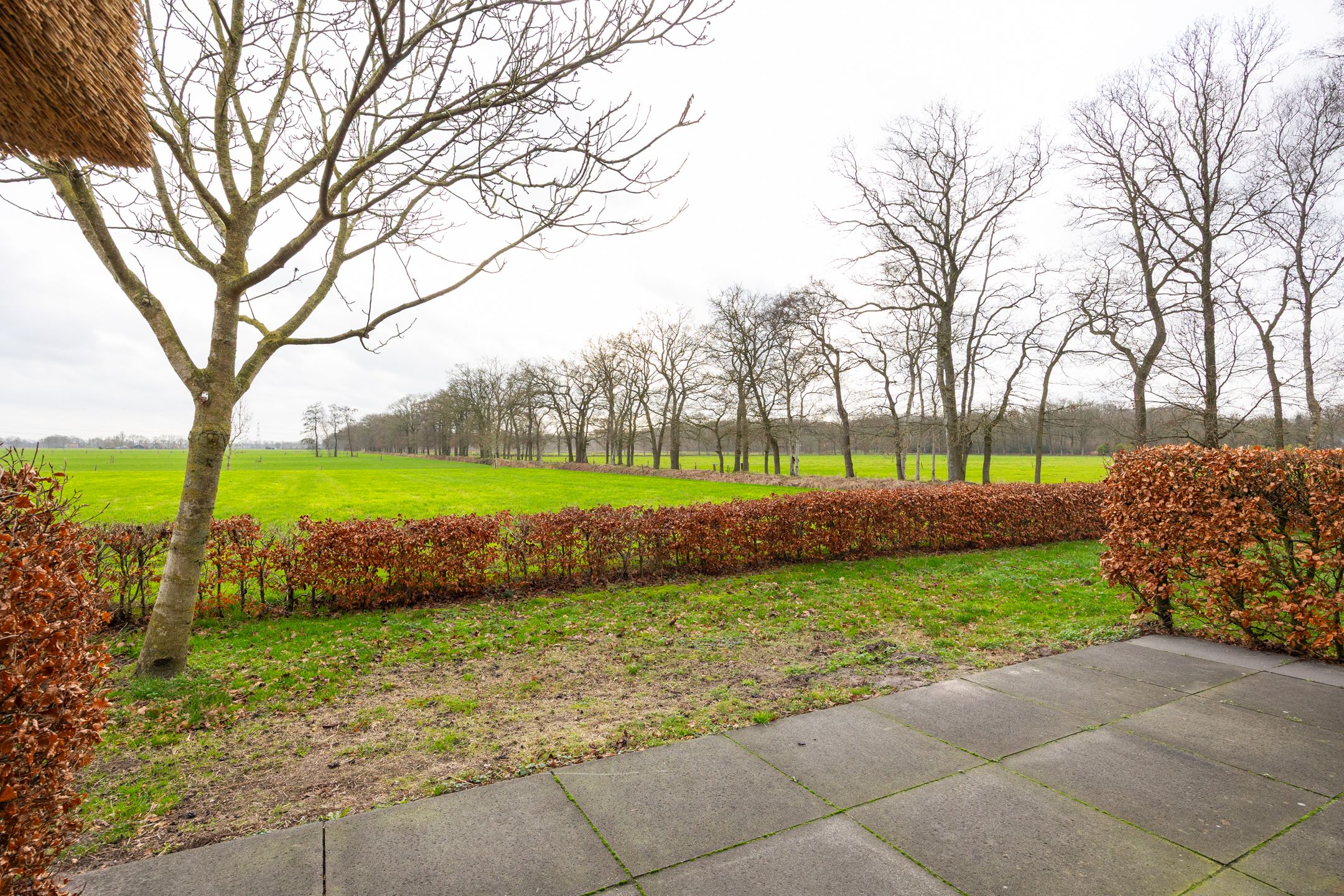 Foto 75 van De Kolonie 1-A