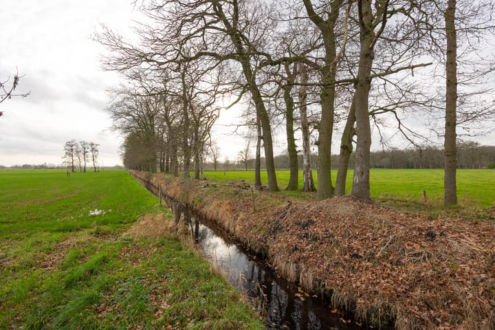 Foto 76 van De Kolonie 1-A