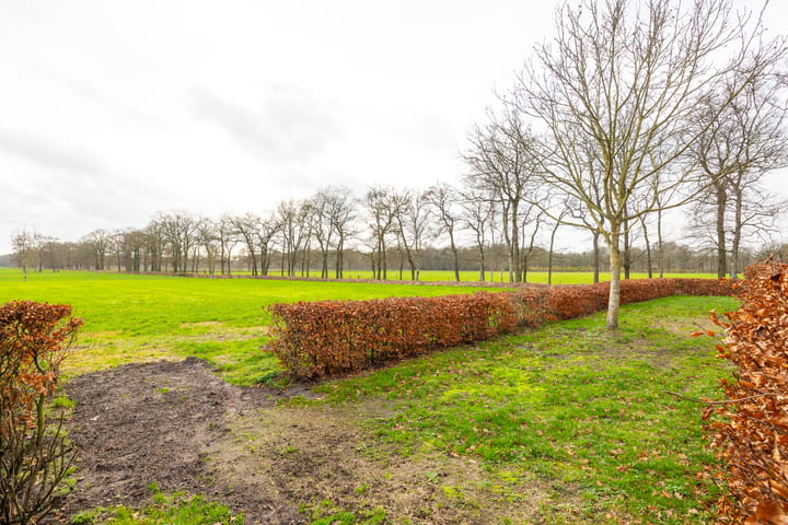 Foto 77 van De Kolonie 1-A