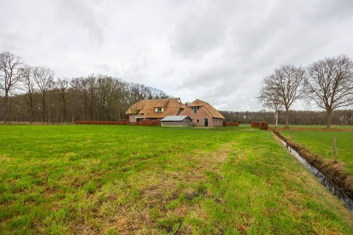 Foto 82 van De Kolonie 1-A