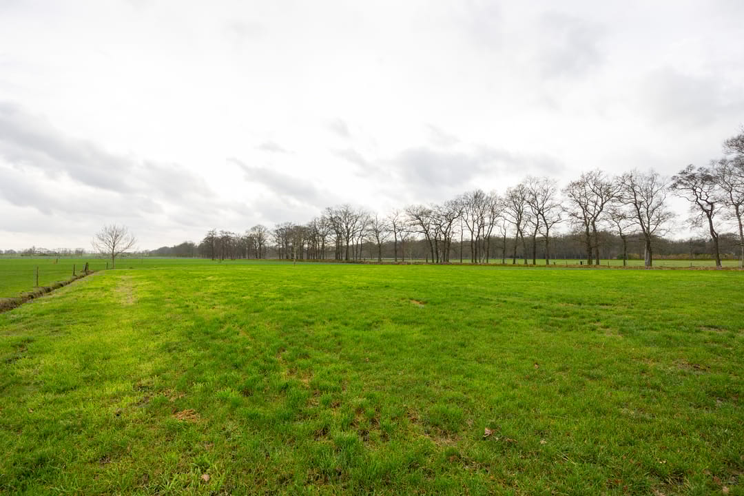 Foto 86 van De Kolonie 1-A