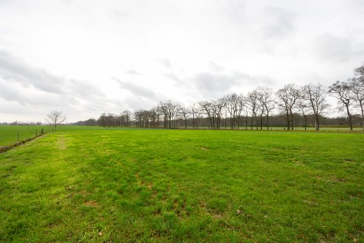 Foto 86 van De Kolonie 1-A