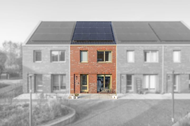 Foto 5 van Pijlkruid 19